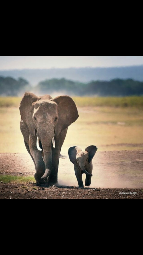 When it’s a Family Affair